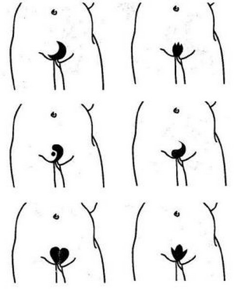 Интимные стрижки: фото женских и мужских интим-причесок