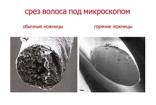 Волос до и после стрижки горячими ножницами