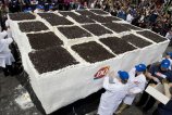 К Дню мороженого (в 2011) канадская сеть кафе Dairy Queen сделала торт-мороженое, на который ушло 9 тонн мороженого!