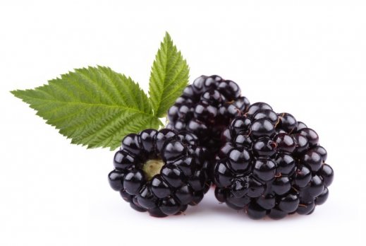 Экстракт, масло семян и клетчатка ежевики в косметологии